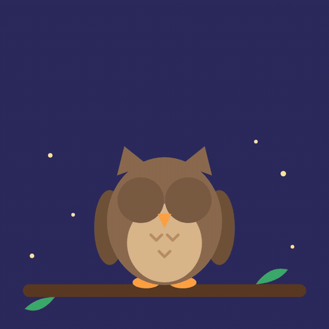 Sorry owl make it up to you text above a sleepy brown owl waking up on a branch and waving a wing at night