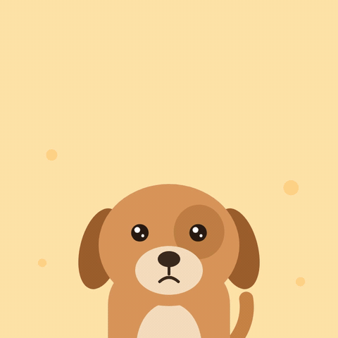 I'm sorry fur real text above a cute brown puppy lifting its head with big sparkling puppy dog eyes