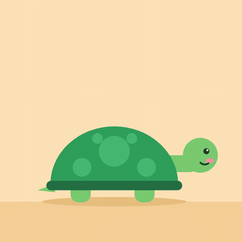 Sorry I'll be in my shell text above a green turtle hiding in its shell with two eyes peeking out
