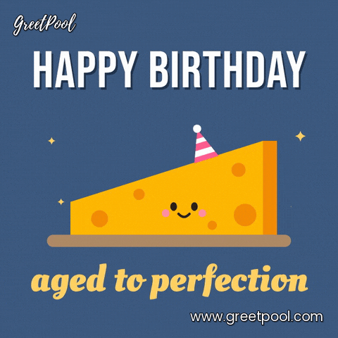 Birthday Aged To Perfection Cheese Happy Birthday aged to perfection pun with a smiling cheese wedge in a party hat bouncing on a board