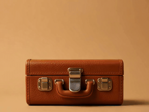 Briefcase popping open into confetti, happy birthday gif for boss