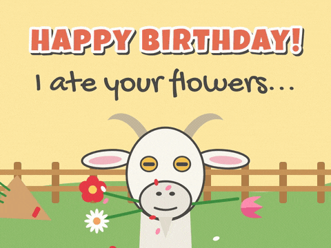 Funny Birthday Goat Ate Flowers Happy birthday, I ate your flowers, a cheeky goat chews a birthday bouquet with blooms sticking out