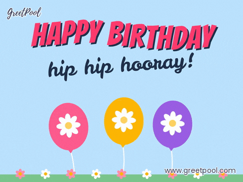 Happy Birthday Daisy Balloons Happy birthday hip hip hooray with three daisy print balloons bobbing over a row of flowers
