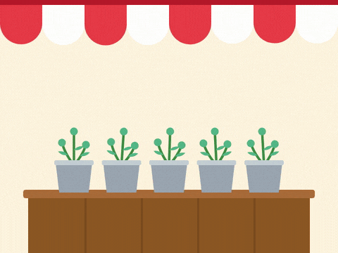 Happy Birthday Florist Flower Stand Happy birthday, fresh picked for you, a striped awning flower stand with buckets of tulips and daisies