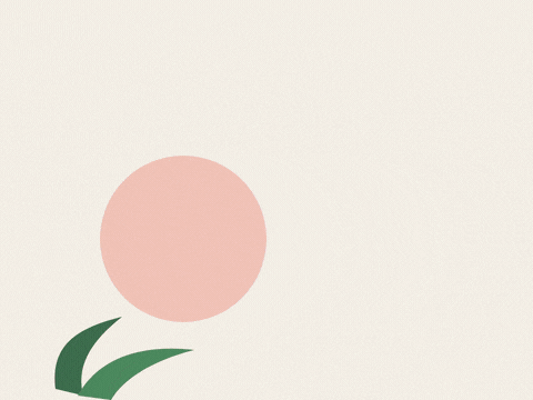 Happy birthday gorgeous, an ink orchid branch blooms with pink flowers in front of a soft coral sun