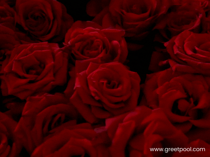 Happy Birthday Hearts Wishes Animated happy birthday GIF with hearts and best wishes