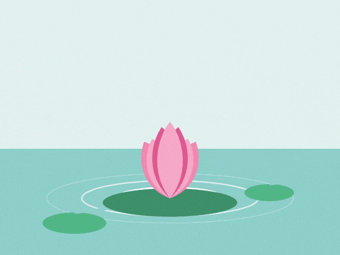 Happy Birthday Lotus Bloom Beautifully Happy birthday, bloom beautifully with a pink lotus flower opening on a calm pond with lily pads and ripples