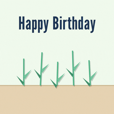 Happy birthday, folded with love, five origami paper tulips unfold one after another in pastel colours