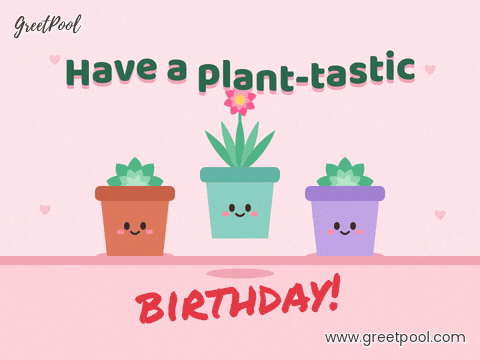 Have a plant-tastic birthday, three smiling succulent pots hop in turn, the middle one in pink bloom