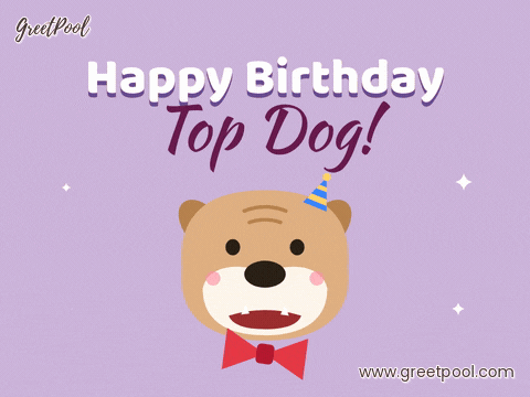 Top Dog Bulldog Birthday Him Happy birthday top dog with a bulldog in a party hat and red bow tie bobbing its head on lilac