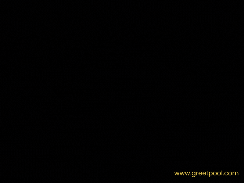 Animated wishing you a happy birthday GIF with colorful design