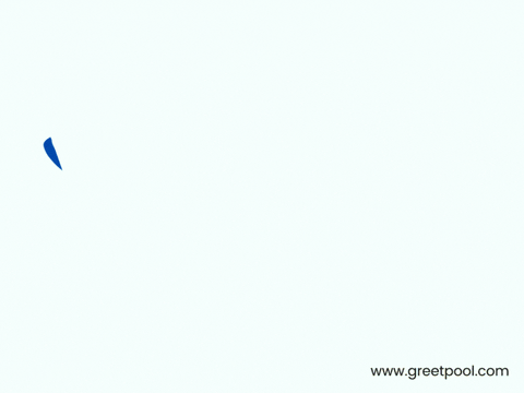 Congratulations And Celebrations Confetti Animated congratulations and celebrations GIF with colorful confetti