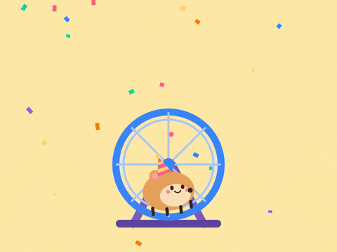 Wheel Y Excited Hamster Celebration Wheel-y excited celebration with a hamster in a party hat running a blue wheel under falling confetti