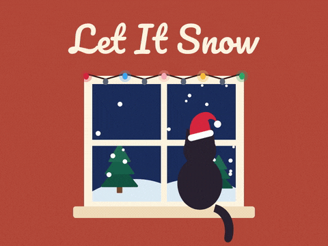 Let it snow Christmas scene of a cat in a Santa hat watching snowflakes fall outside a window framed with fairy lights
