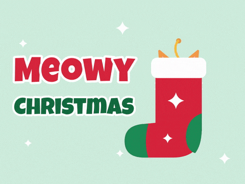 Meowy Christmas Kitten In Stocking Meowy Christmas ginger kitten popping up out of a big red Christmas stocking with its paws on the cuff on mint green