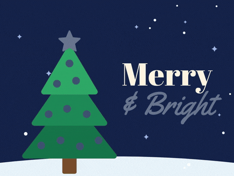 Merry and Bright Christmas tree lighting up bulb by bulb to a glowing gold star on a snowy navy night
