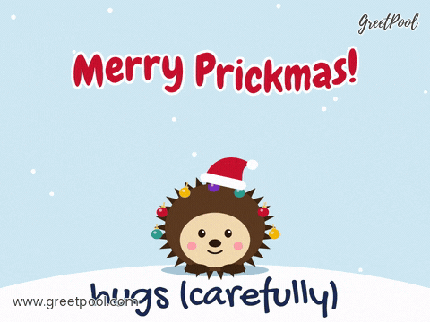 Merry Prickmas Christmas Hedgehog Merry Prickmas pun with a hopping hedgehog in a Santa hat with colourful baubles hanging from its spines