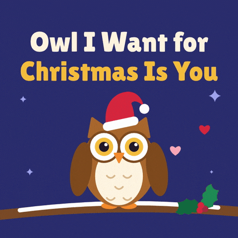 Owl I Want For Christmas Owl I want for Christmas is you with a wide eyed brown owl in a Santa hat perched on a snowy branch under hearts