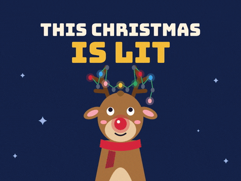 This Christmas Is Lit Reindeer Lights This Christmas is lit pun with a reindeer looking up at fairy lights tangled in its antlers and a glowing red nose