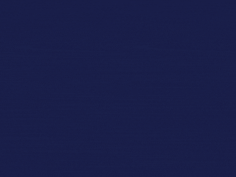 Congrats Perfect Ten Scorecards Congrats with three judges' scorecards popping up showing perfect 10 scores on a navy background