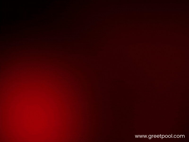 Animated congratulations GIF with red hearts and roses