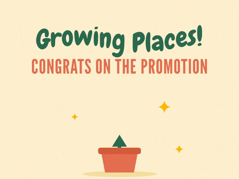 Growing Places Congrats Promotion Plant Growing places, congrats on the promotion: a potted plant shoots up into an arrow with sparkles