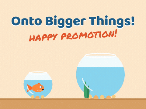 Promotion Bigger Things Goldfish Bowl Onto bigger things, happy promotion: a goldfish leaps from a small fishbowl into a much bigger one
