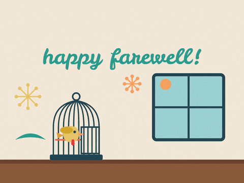 Free as a bird, happy farewell, a little yellow bird in a red tie flies out of its open cage to the window
