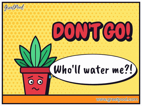 Don't go farewell with a worried office plant asking who'll water me in a comic speech bubble