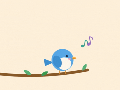 Feel Better Soon Singing Bird Feel better soon blue bird hopping on a branch and singing colourful music notes