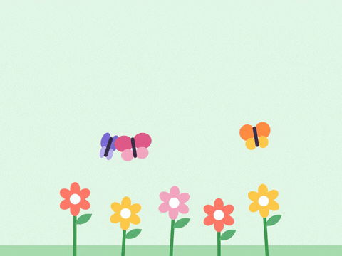 Thinking of you get well soon butterflies fluttering over a row of bright garden flowers