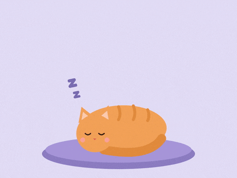 Rest up get well soon message with an orange cat sleeping on a purple cushion and floating zzz