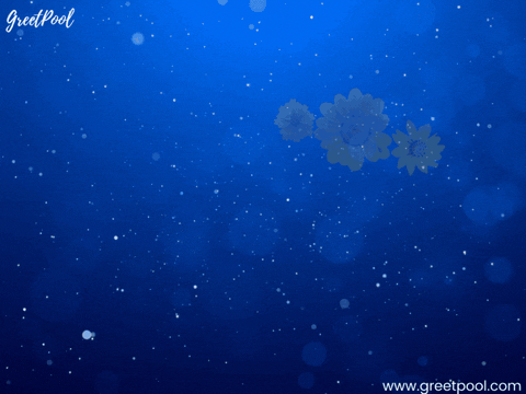 Animated get well soon GIF with sunflower on yellow background