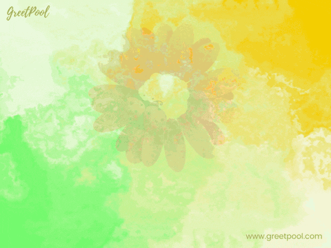 Animated get well soon GIF with sunshine and flowers on dark background