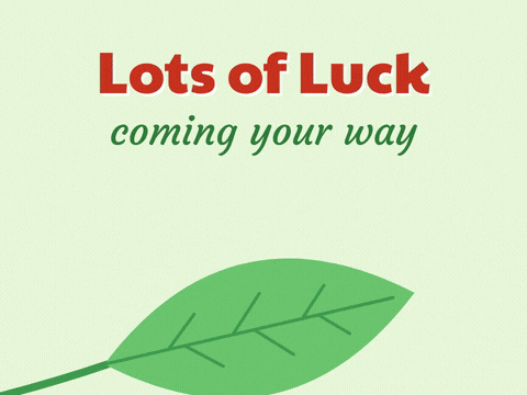 Lots of luck coming your way ladybug flying in and landing on a big green leaf, good luck wishes