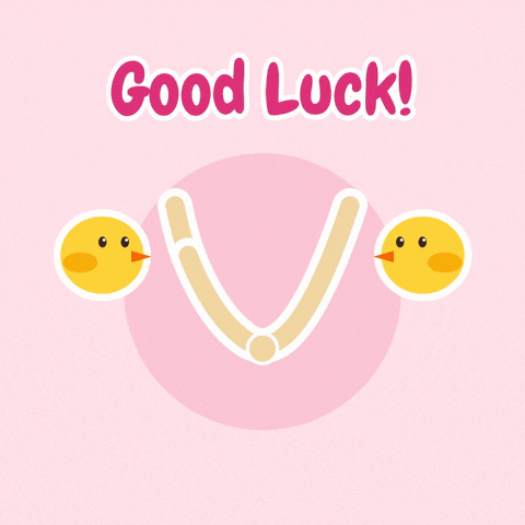 Good luck wishbone snapping between two yellow chicks, and the big half is yours, on a pink background