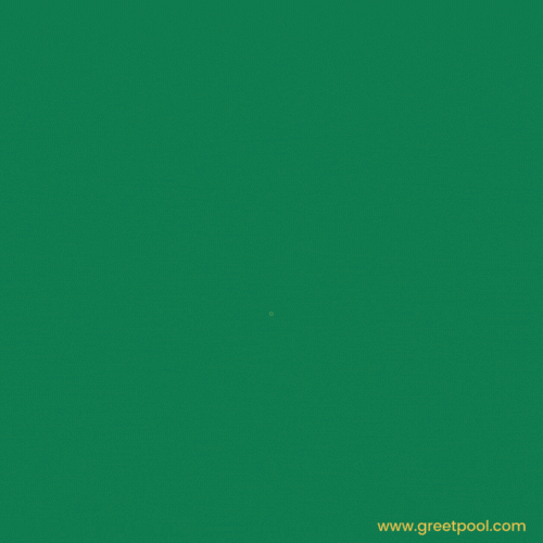 Animated graduation congratulations GIF with stars and diploma