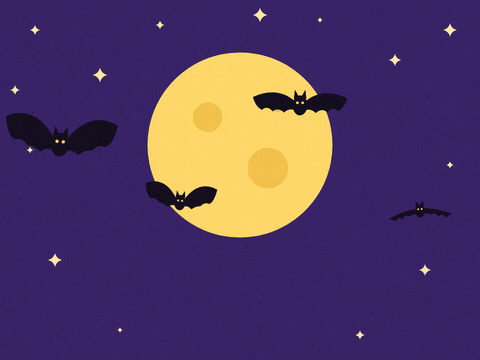 Happy Halloween Bats Full Moon Happy Halloween with black bats flapping across a big yellow full moon and stars on a purple night sky