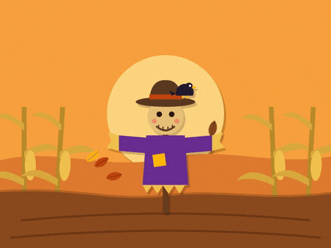 Happy Halloween Scarecrow Corny One Happy Halloween, have a corny one, a paper cut scarecrow sways in a cornfield as a crow hops on his hat