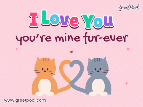 I love you in hopping colourful letters, mine fur-ever, as two cats curl their tails into a heart