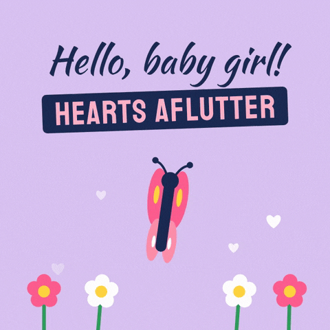 Hello Baby Girl Pink Butterfly Hello baby girl message with a pink butterfly fluttering over flowers and hearts, hearts aflutter