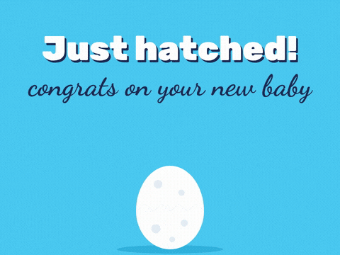 Just Hatched New Baby Chick Just hatched new baby message with a yellow chick popping out of an egg, congrats on your new baby
