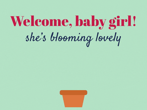 Welcome Baby Girl Flower Blooming Welcome baby girl message with a smiling pink flower blooming in a pot, she's blooming lovely