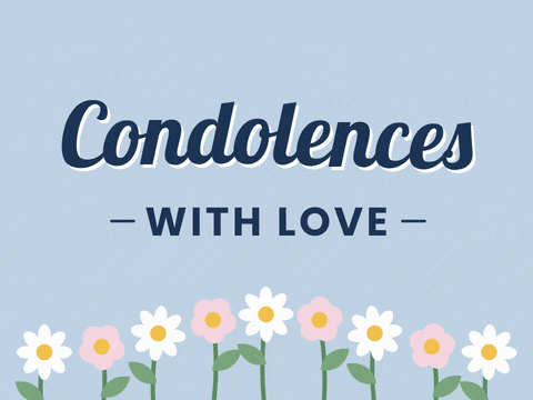 Condolences with love lettering above a row of white daisies and pink flowers swaying on soft blue