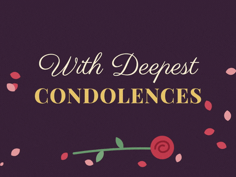 Deepest Condolences Sympathy Rose Petals With deepest condolences sympathy red rose with petals falling softly on a deep plum background