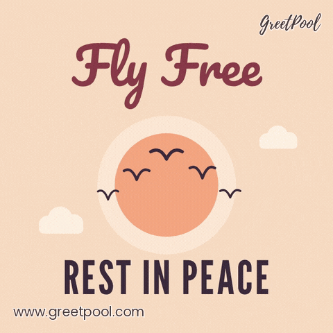 Fly free, rest in peace sympathy birds flying together across a soft peach sunset sky