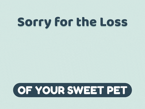 Sorry for the loss of your sweet pet sympathy paw prints walking toward a little red heart