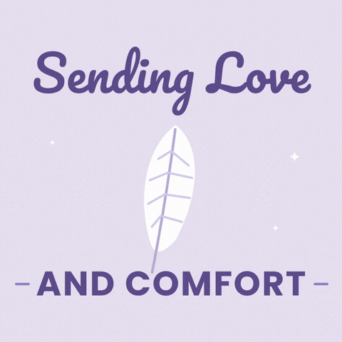 Sending love and comfort sympathy message with a white feather drifting on soft lavender