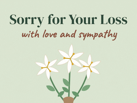 Sorry for your loss white lilies swaying gently on sage green, with love and sympathy