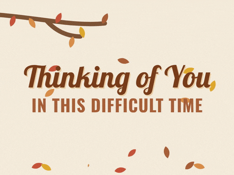 Thinking of you in this difficult time sympathy message with autumn leaves drifting down from a branch